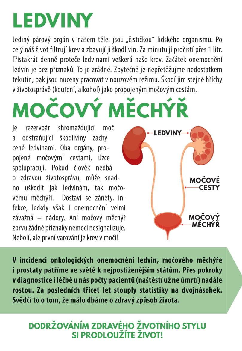 český den proti rakovině 2021 - leták strana 02